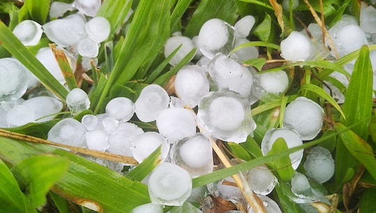 Hail balls rest on green grass.