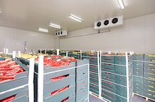 Cold storage facility for fresh produce