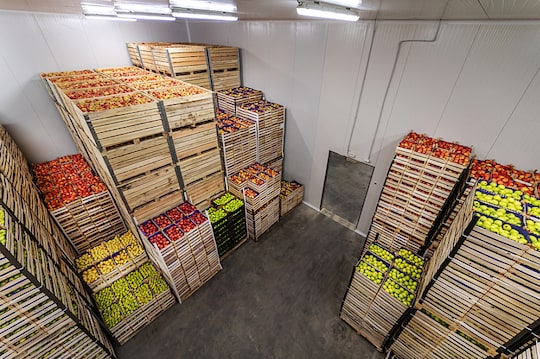 Apples and pears in crates ready for shipping. Cold storage interior.