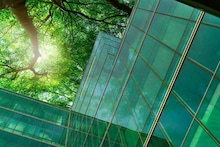 A glass building with green leaves overhead.