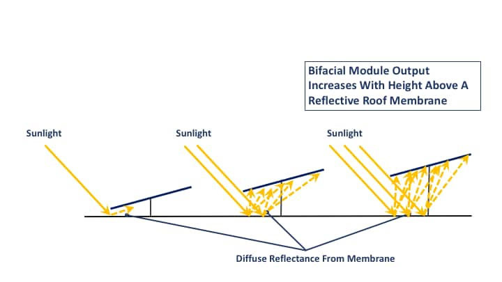 bifacial module Bifacial Module