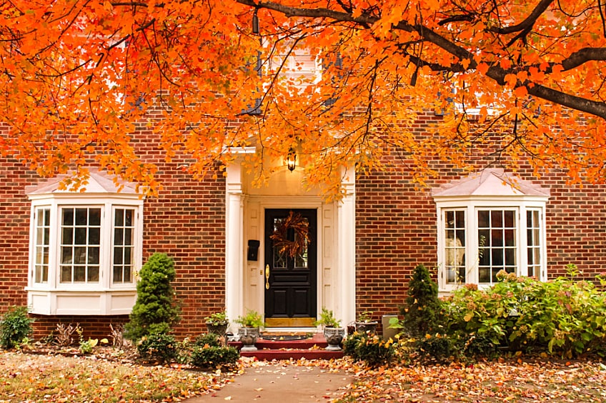 Parents with two young kids and a dog rake leaves into a wheelbarrow on a sunny autumn afternoon.