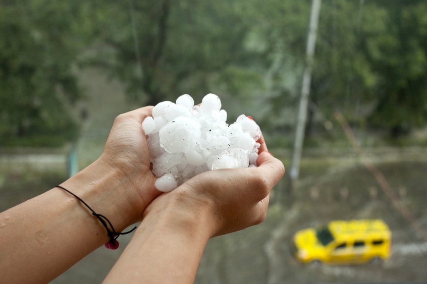 Hands holding hail.