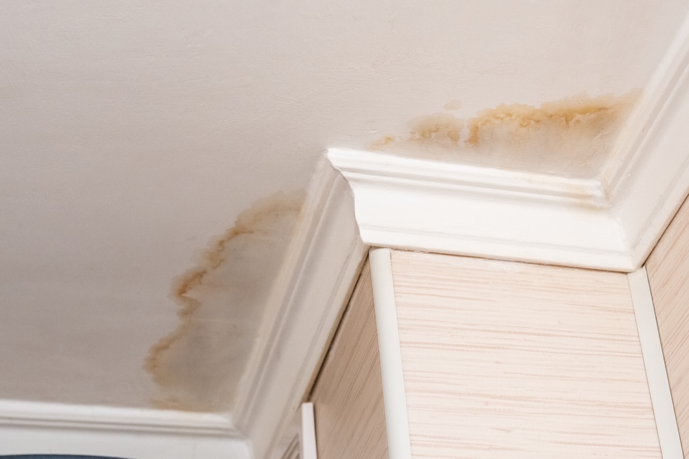 Neighbors have a water leak, water-damaged ceiling, close-up of a stain on the ceiling. Neighbors have a water leak, water-damaged ceiling, close-up of a stain on the ceiling.